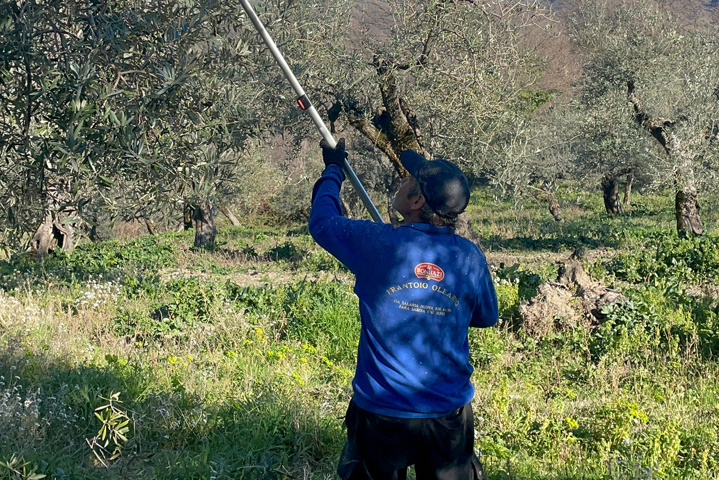 oleificio-dei-fiori-s-r-l